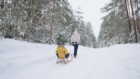 Tranquilo-Bosque-Invernal-En-Vacaciones-De-Navidad-Madre-E-Hijo-Caminan-Mujer-Tira-De-Trineo